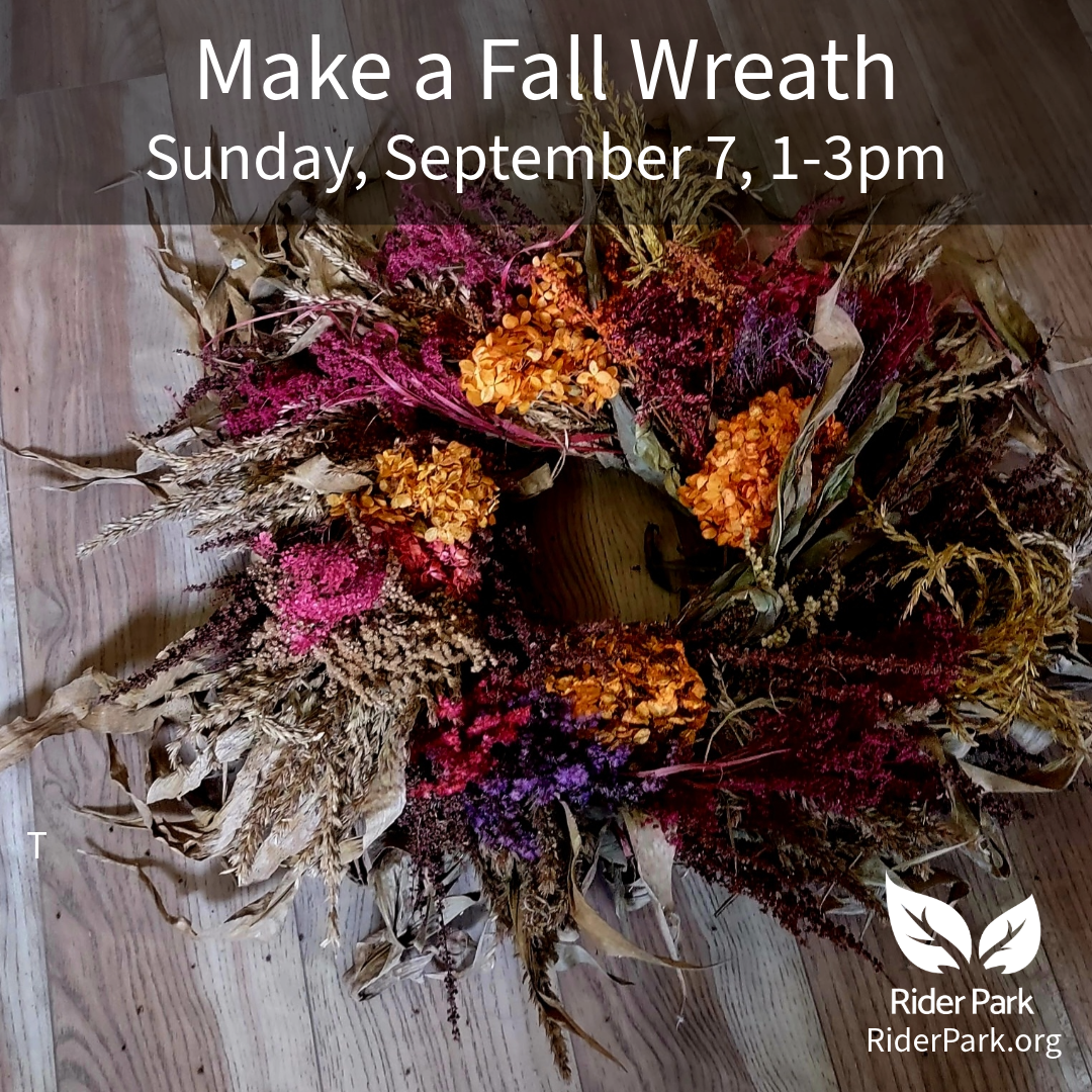 Wreath Making – Fall